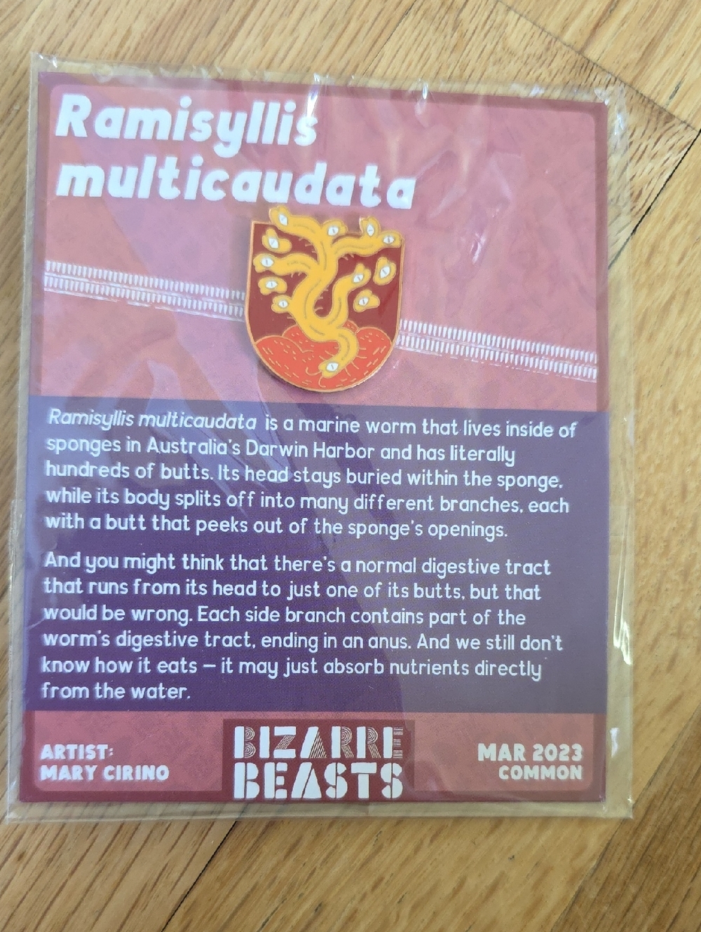 Bizarre Beasts Enamel Pin Common Ramisyllis Multicaudata